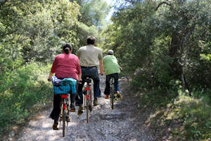 promenade en velo dans les alpilles